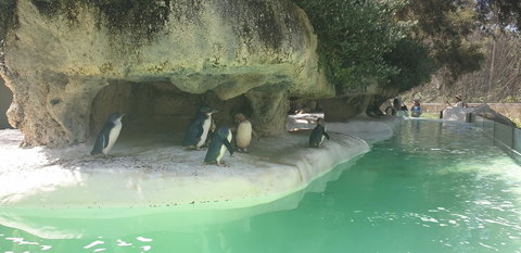 High Tor - Accommodation Kalgoorlie 33