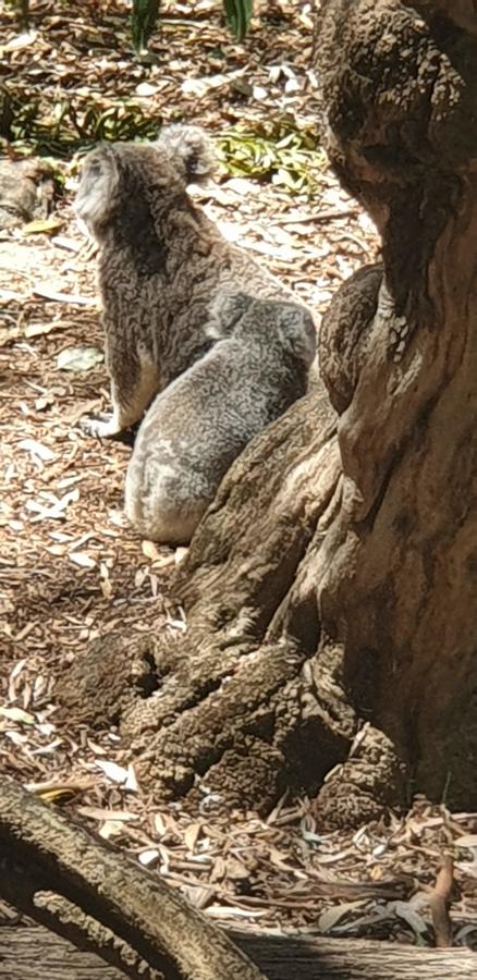 High Tor - Accommodation Kalgoorlie 29