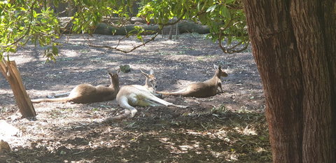 High Tor - Accommodation Kalgoorlie 31