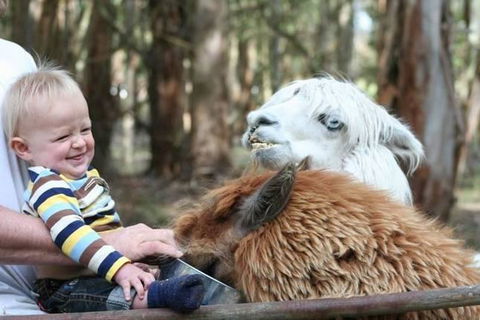 Margaret River Hideaway & Farmstay - Accommodation Kalgoorlie 21