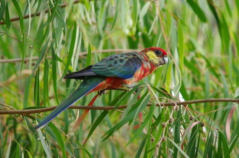 Margaret River Hideaway & Farmstay - Accommodation Kalgoorlie 20