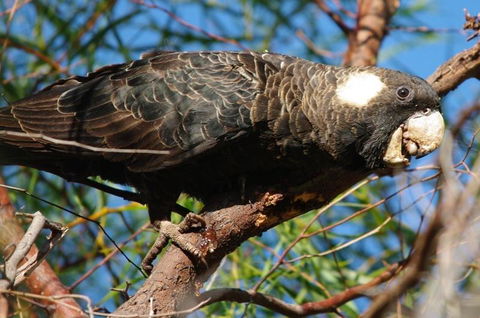 Margaret River Hideaway & Farmstay - Accommodation Kalgoorlie 22