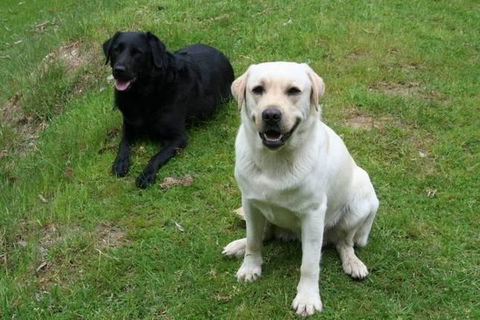 Margaret River Hideaway & Farmstay - Accommodation Kalgoorlie 29