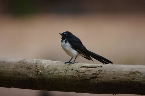 Margaret River Hideaway & Farmstay - Accommodation Kalgoorlie 33