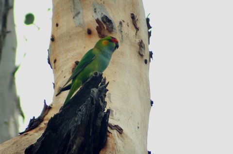 Margaret River Hideaway & Farmstay - Accommodation Kalgoorlie 23