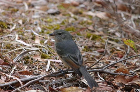 Margaret River Hideaway & Farmstay - Accommodation Kalgoorlie 24