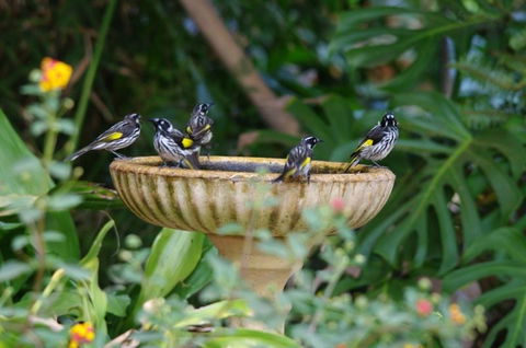 Margaret River Hideaway & Farmstay - Accommodation Kalgoorlie 30