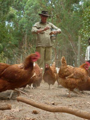 Margaret River Hideaway & Farmstay - Accommodation Kalgoorlie 28