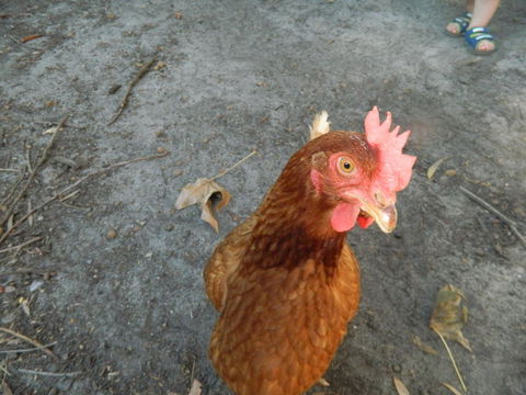 Margaret River Hideaway & Farmstay - Accommodation Kalgoorlie 34