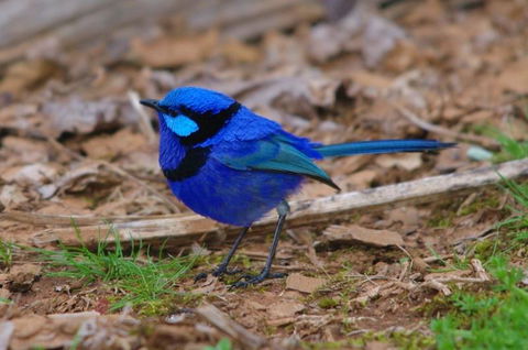 Margaret River Hideaway & Farmstay - Accommodation Kalgoorlie 25