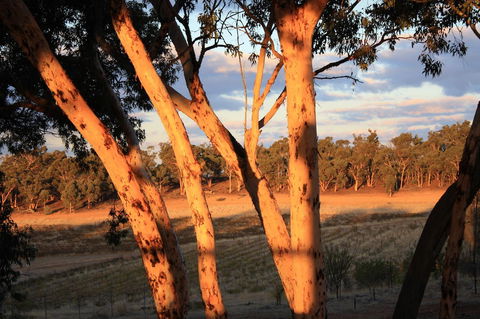 Hotham Ridge Estate - Accommodation Kalgoorlie 30