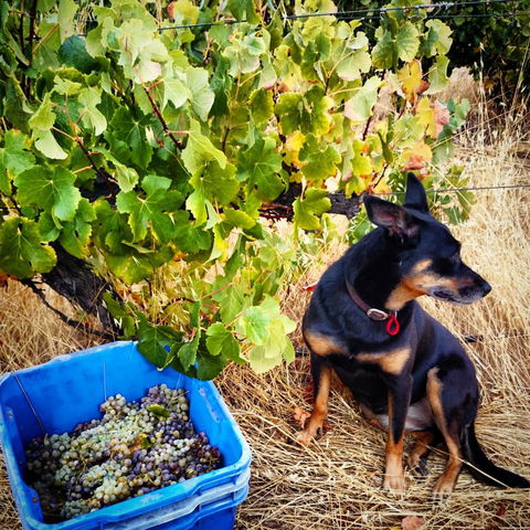 Hotham Ridge Estate - Accommodation Kalgoorlie 33