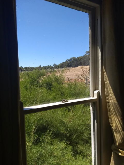 Hotham Ridge Estate - Accommodation Kalgoorlie 8