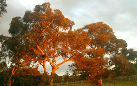 Hotham Ridge Estate - Accommodation Kalgoorlie 35