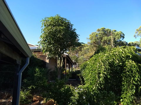 Hotham Ridge Estate - Accommodation Kalgoorlie 5