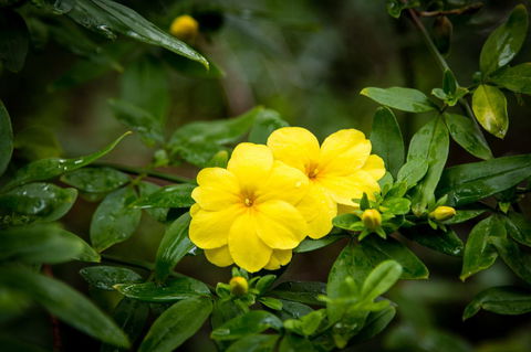 Riverglen Chalets - Accommodation Kalgoorlie 44