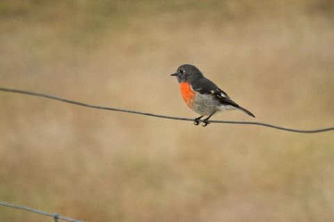 Riverglen Chalets - Accommodation Kalgoorlie 43