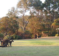 Riverside Retreat Chalets Walpole - Accommodation Kalgoorlie