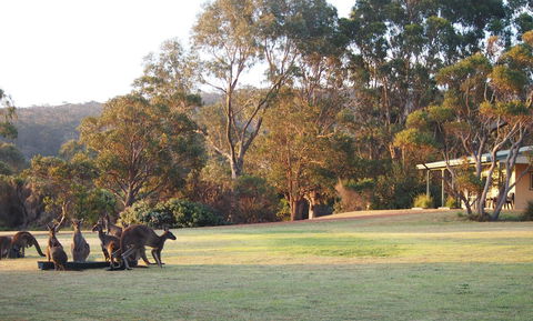 Riverside Retreat Chalets, Walpole - Accommodation Kalgoorlie 0