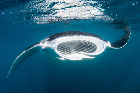 Peoples Park - Accommodation Kalgoorlie 32