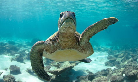 Peoples Park - Accommodation Kalgoorlie 31