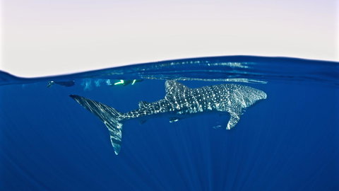 Peoples Park - Accommodation Kalgoorlie 33