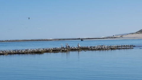 Kalbarri Seaview Villas - Accommodation Kalgoorlie 33