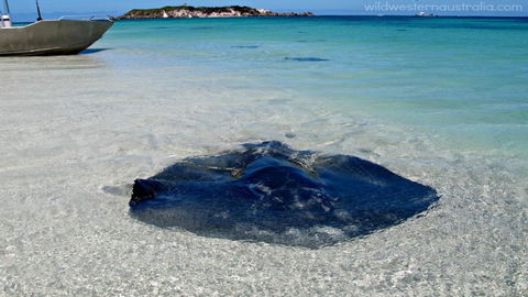 Turner Brook Chalet - Accommodation Kalgoorlie 3