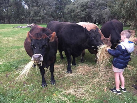 Turner Brook Chalet - Accommodation Kalgoorlie 6