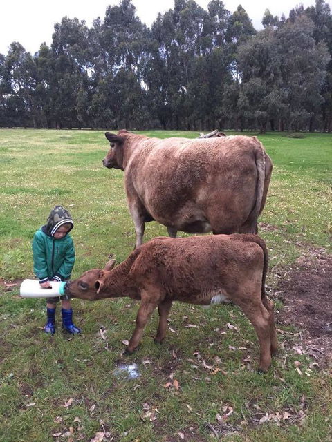 Turner Brook Chalet - Accommodation Kalgoorlie 4