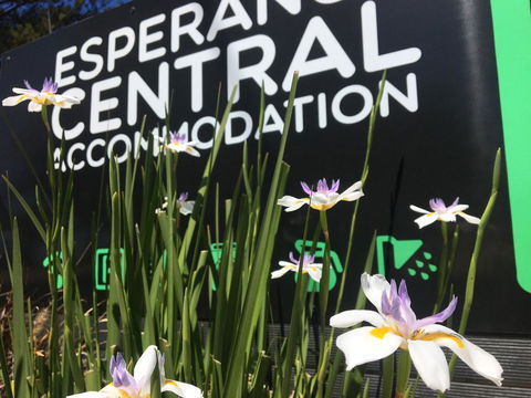 Esperance Central Accommodation - Accommodation Kalgoorlie 0