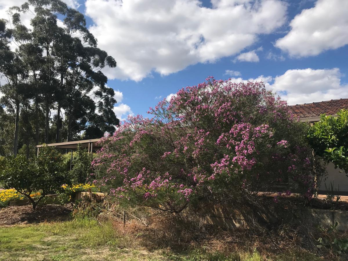  Accommodation Kalgoorlie