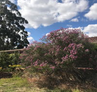 Cockburn Retreat Home  - Accommodation Kalgoorlie