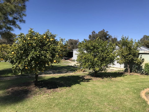 Cockburn Retreat Home æŸæ–¯æ‚ é–’æ°‘å®¿ - Accommodation Kalgoorlie 20
