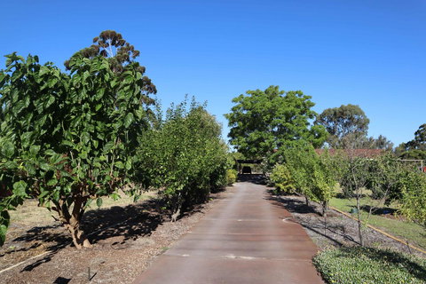 Cockburn Retreat Home æŸæ–¯æ‚ é–’æ°‘å®¿ - Accommodation Kalgoorlie 2