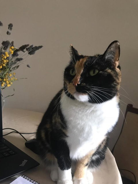 Cockburn Retreat Home æŸæ–¯æ‚ é–’æ°‘å®¿ - Accommodation Kalgoorlie 29