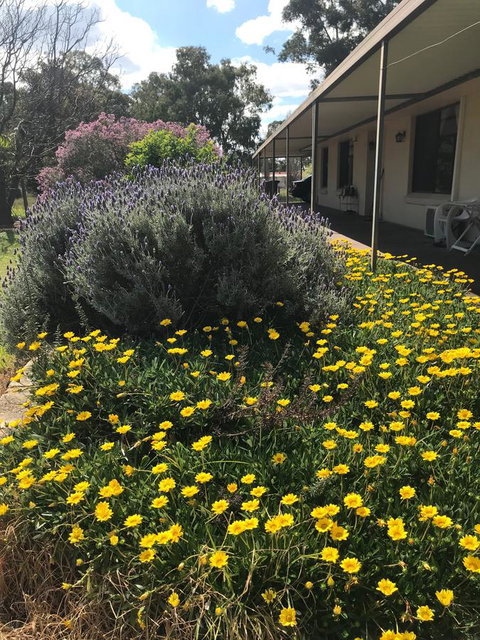 Cockburn Retreat Home æŸæ–¯æ‚ é–’æ°‘å®¿ - Accommodation Kalgoorlie 3