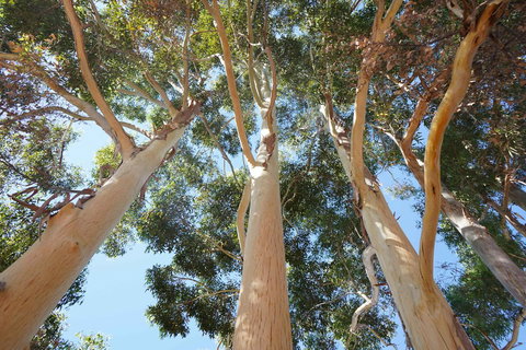 Cockburn Retreat Home æŸæ–¯æ‚ é–’æ°‘å®¿ - Accommodation Kalgoorlie 19