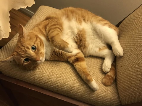 Cockburn Retreat Home æŸæ–¯æ‚ é–’æ°‘å®¿ - Accommodation Kalgoorlie 28