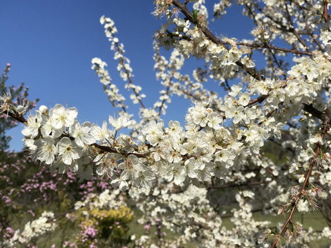 Cockburn Retreat Home æŸæ–¯æ‚ é–’æ°‘å®¿ - Accommodation Kalgoorlie 27