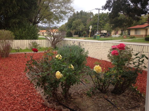 â˜… Stylish Family Home! â˜… - Accommodation Kalgoorlie 1
