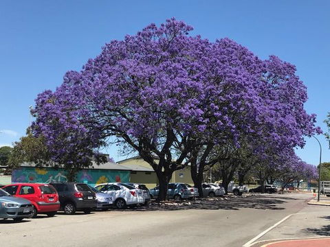 Gerring Court With Free 1 Car Bay Parking - Accommodation Kalgoorlie 20