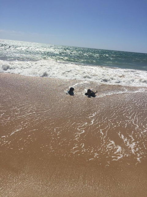 Beach House At SeaScapes.. - Accommodation Kalgoorlie 30