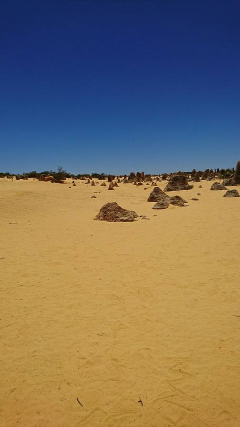 The Bothy Lancelin Family Retreat - Accommodation Kalgoorlie 35
