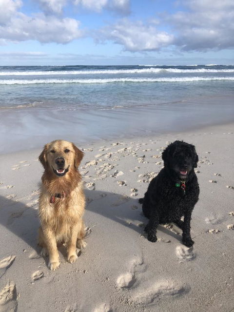 The Bothy Lancelin Family Retreat - Accommodation Kalgoorlie 32