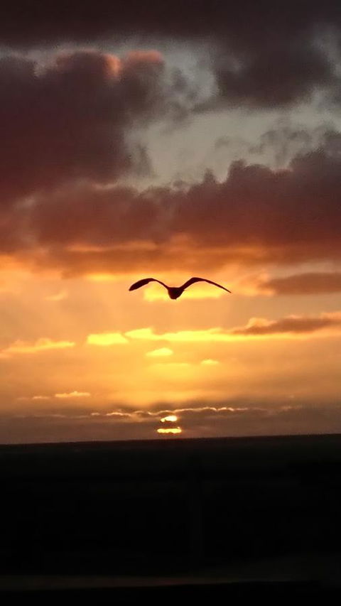 The Bothy Lancelin Family Retreat - Accommodation Kalgoorlie 28