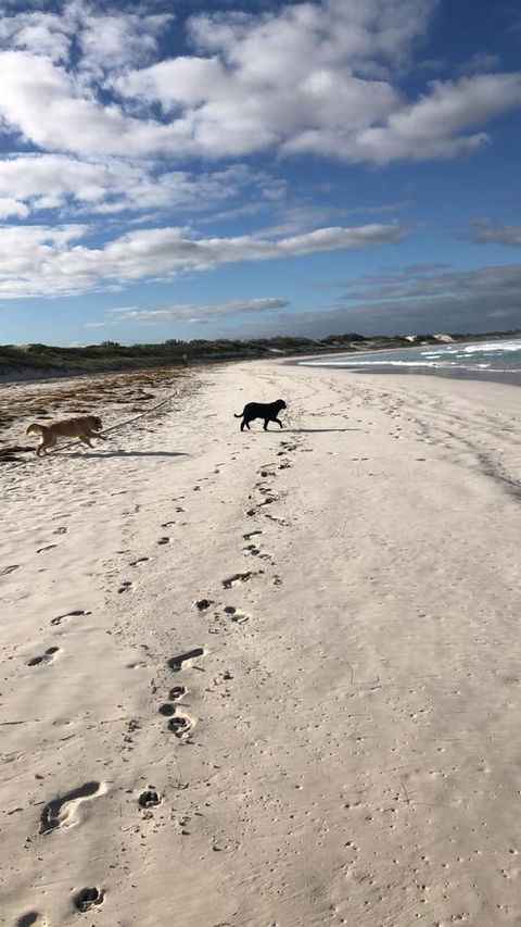 The Bothy Lancelin Family Retreat - Accommodation Kalgoorlie 30