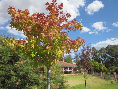 Bridgetown Valley Lodge - Accommodation Kalgoorlie 40