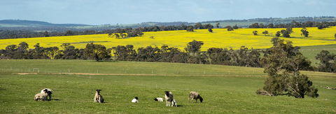 Kendenup Cottages And Lodge - Accommodation Kalgoorlie 44