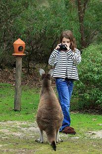 Yelverton Brook Conservation Sanctuary - Accommodation Kalgoorlie 39